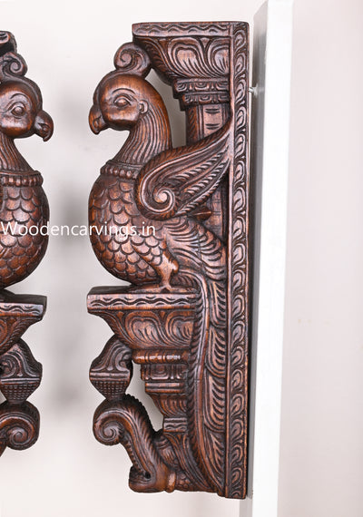 Design and Unique Standing Parrots Wax Brown Finishing Hooks Fixed Wall Hanging Wooden Wall Brackets 18"