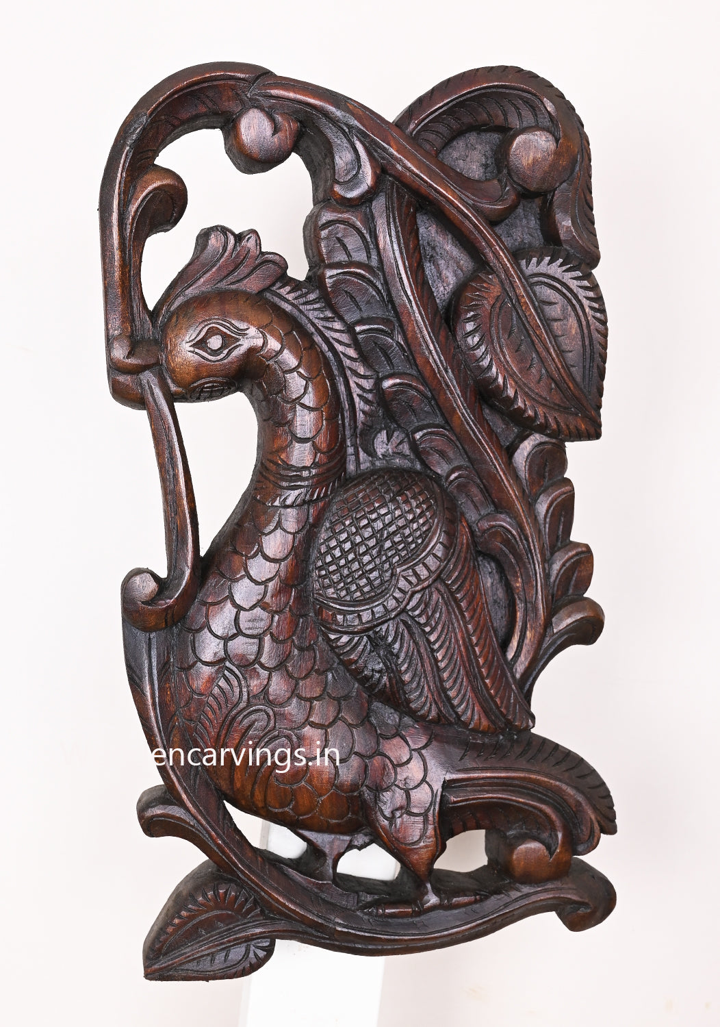Standing Wall Hanging Peacock Light Weight Hooks Fixed Brown Finishing Wall Mount 18"
