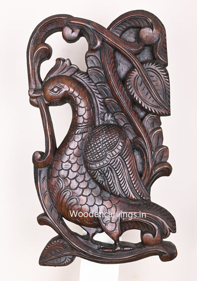 Standing Wall Hanging Peacock Light Weight Hooks Fixed Brown Finishing Wall Mount 18"