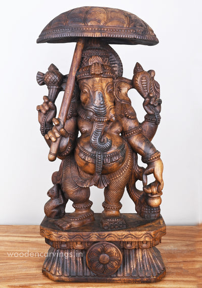 Standing Lord Ganesha Holding Umbrella & Kamandalam Wooden Sculpture 26"