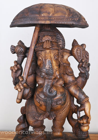 Standing Lord Ganesha Holding Umbrella & Kamandalam Wooden Sculpture 26"