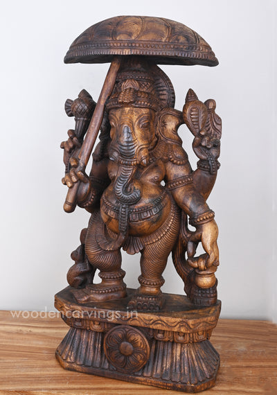 Standing Lord Ganesha Holding Umbrella & Kamandalam Wooden Sculpture 26"