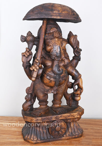 Standing Lord Ganesha Holding Umbrella & Kamandalam Wooden Sculpture 26"