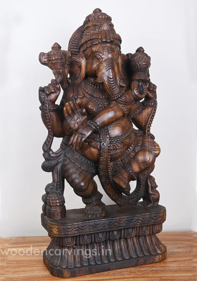 Thandava Ganesha Holding Aspicious Lotus in Lengthy Trunk Wooden Sculpture 25"
