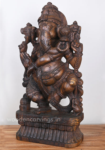 Thandava Ganesha Holding Aspicious Lotus in Lengthy Trunk Wooden Sculpture 25"