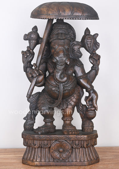 Masterpiece of Standing Umbrella Ganesha Holding Kamandalam Wooden Sculpture 25"