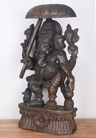 Masterpiece of Standing Umbrella Ganesha Holding Kamandalam Wooden Sculpture 25"