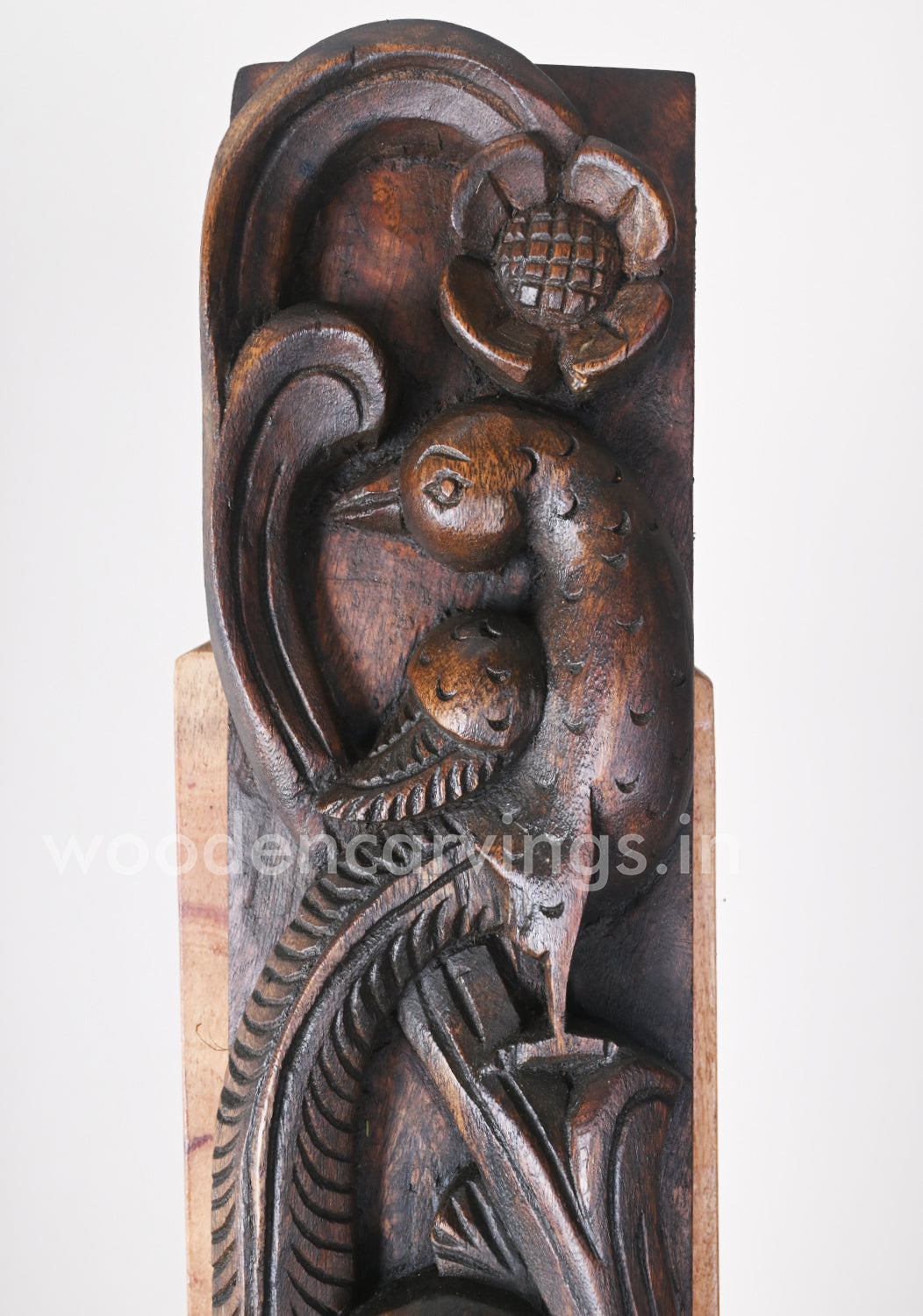Standing Parrots Wax Brown Finishing Door Decor wooden Wall Panel 36