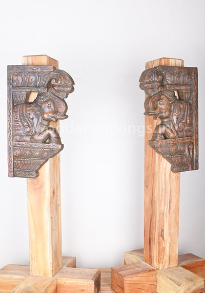 Handled Easy Light Weight Fine Finishing Upraised Elephants Wall Brackets 15"
