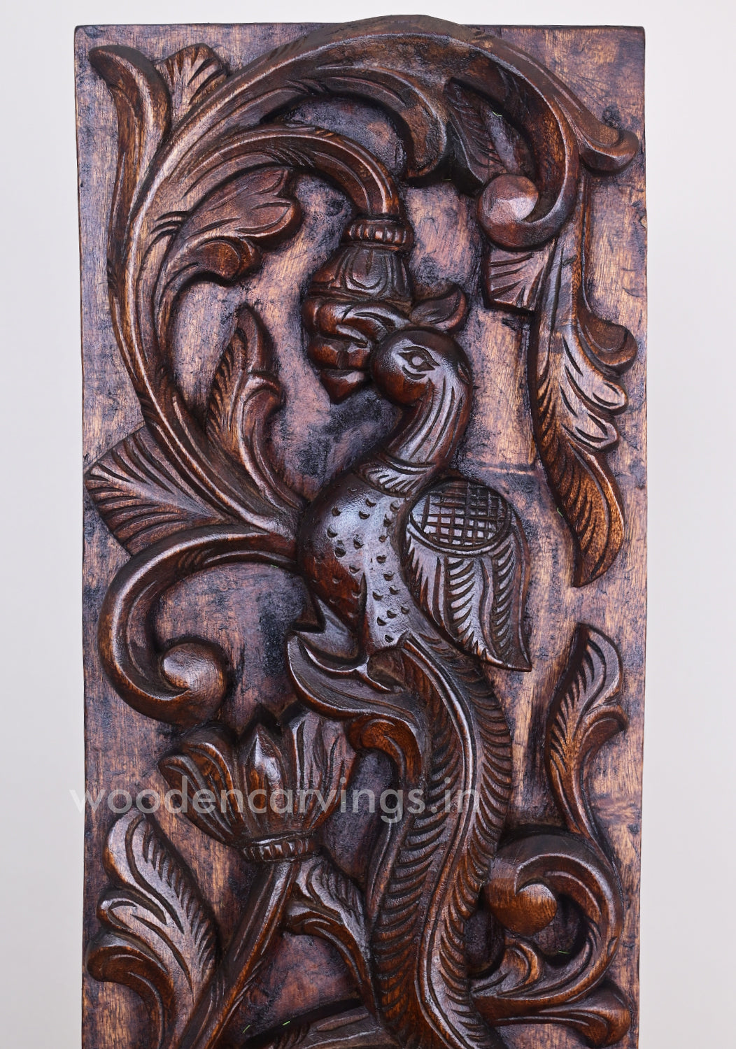 Parrot Standing wooden vaagai Panel 36"