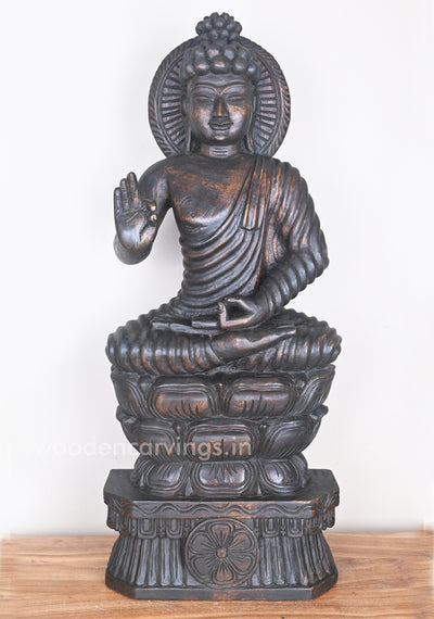 Buddha in Dark Brown Finishing Seated on Double Petal Lotus With Vitarka Mudra Sculpture 37"