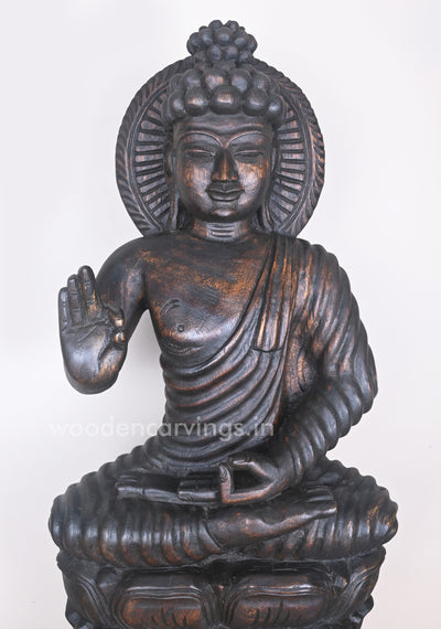 Buddha in Dark Brown Finishing Seated on Double Petal Lotus With Vitarka Mudra Sculpture 37"