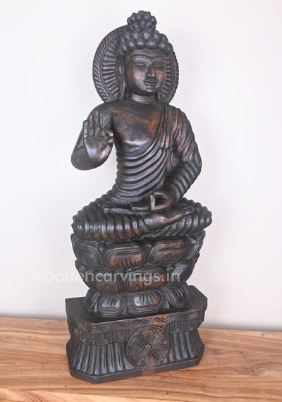 Buddha in Dark Brown Finishing Seated on Double Petal Lotus With Vitarka Mudra Sculpture 37"