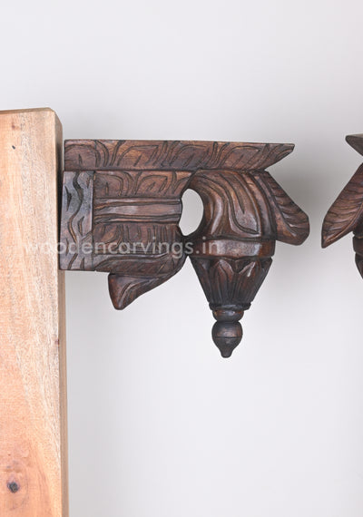 Simple and Attractive Wax Brown Light Weight Bodhil Wall Brackets 9"