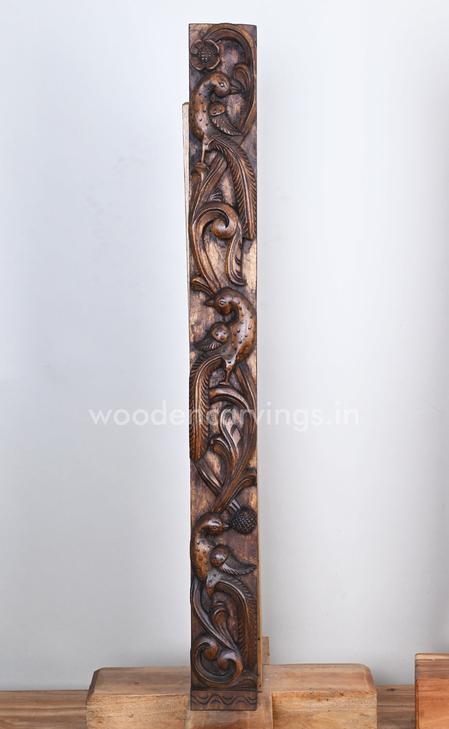 parrot wooden wall panel 