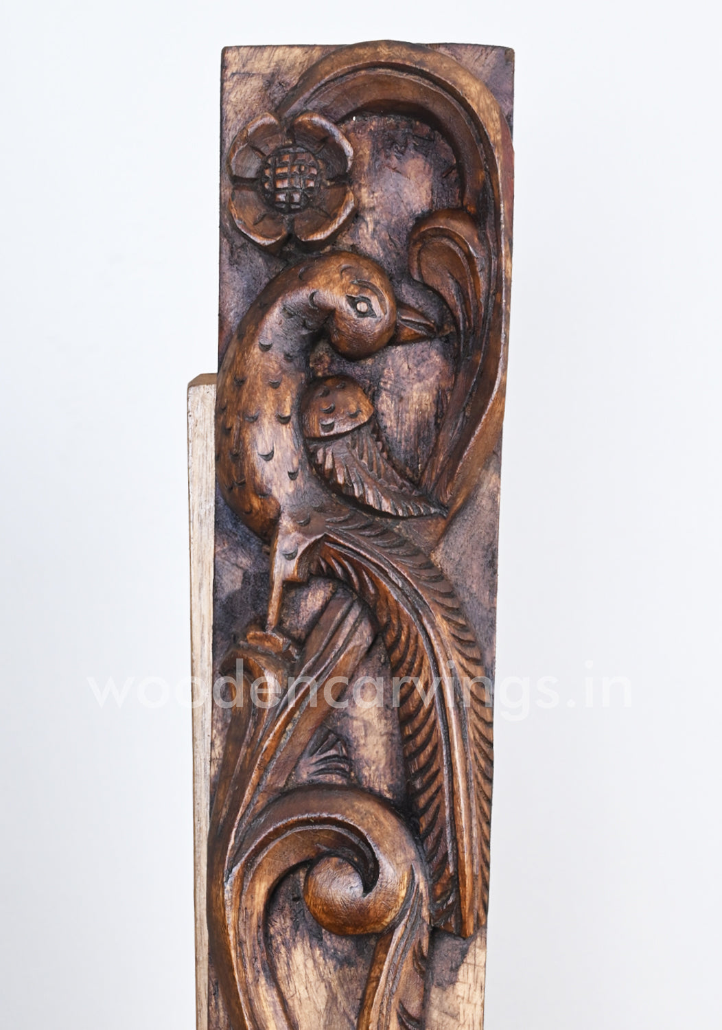 Parrot Vertical Vaagai Wood Wall Panels 36"