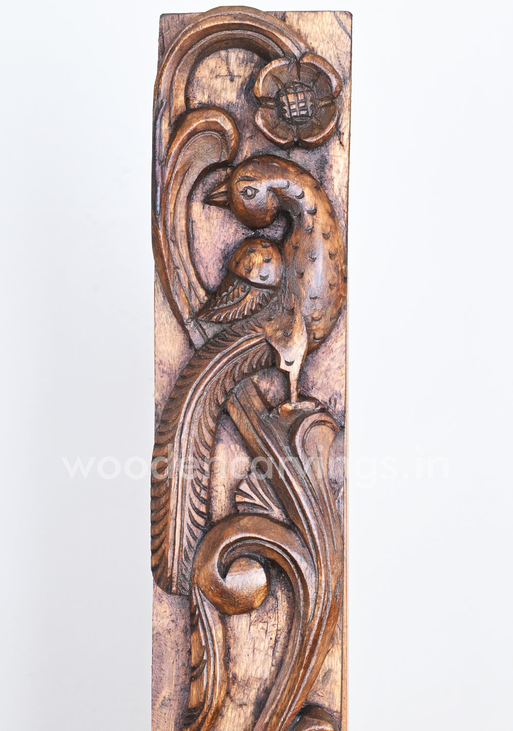 Standing Light Weight Paired Home Decor Parrot Vertical Vaagai Wood Wall Panels 36"