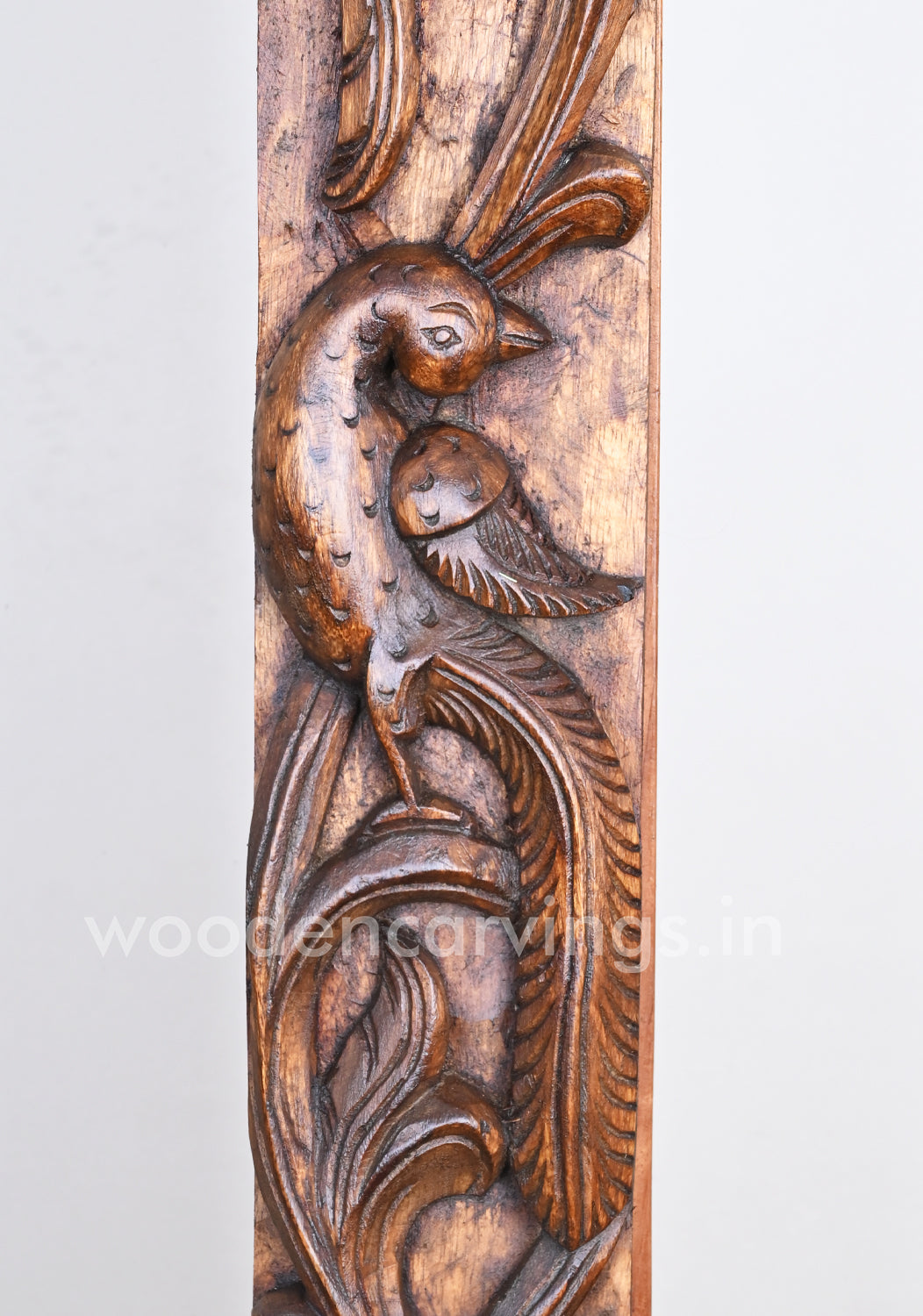 Parrot Vertical Vaagai Wood Wall Panels 36"