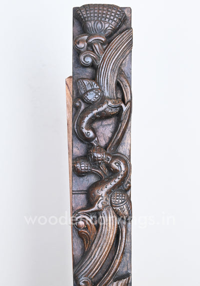 Realistic Handmade Wooden Paired Parrots Eating Fruits Hook Fixed Vertical Home Decor Wall Panel 36"