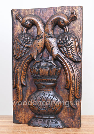 Paired Parrots Standing on Water Pot Detaily Handmade Wooden Hooks Fixed Wall Mount 18"