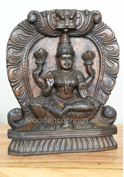 Light Weight Maa Lakshmi Seated on Lotus Arch Wooden Wax Brown Wall Mount 13"