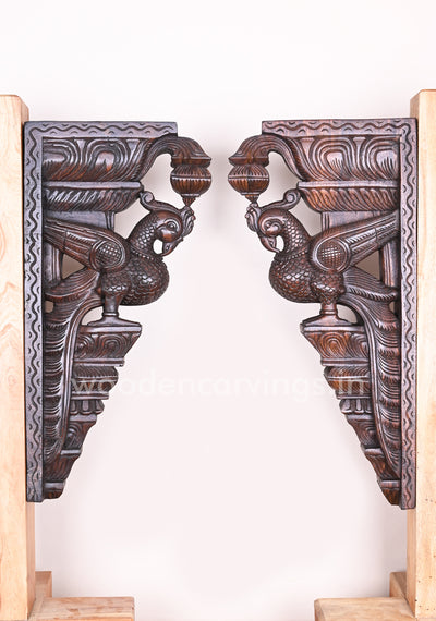 Having Beautiful Feathers Paired Wooden Parrot Detaily Handmade Vaagai Wood Wall Brackets 24"