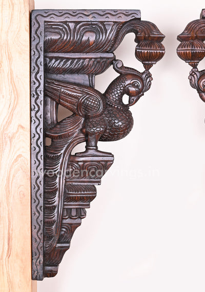 Having Beautiful Feathers Paired Wooden Parrot Detaily Handmade Vaagai Wood Wall Brackets 24"