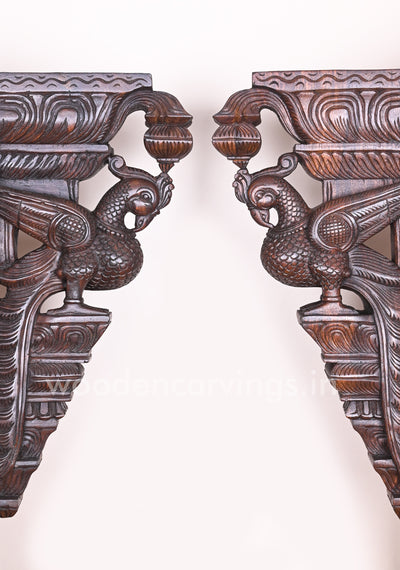 Having Beautiful Feathers Paired Wooden Parrot Detaily Handmade Vaagai Wood Wall Brackets 24"
