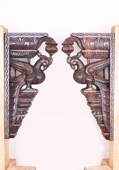 Having Beautiful Feathers Paired Wooden Parrot Detaily Handmade Vaagai Wood Wall Brackets 24"