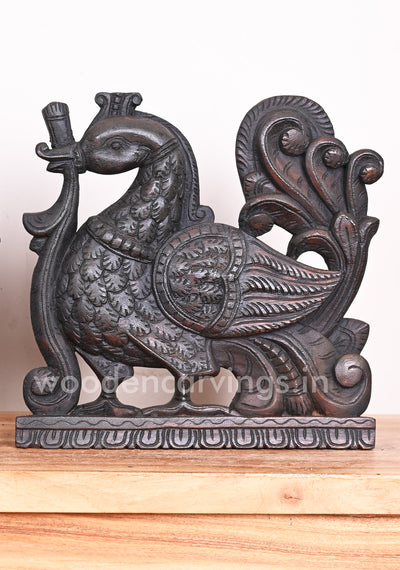 Preety Realistic look Paired Hamsa (Annapakshi) Birds Fine Finishing Wooden Wall Brackets 12"
