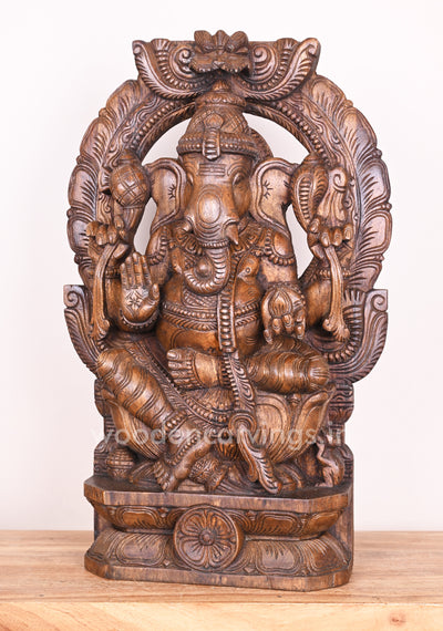 Arch Left Trunk Ganesha Blessing People in Mudra Abhaya on Lotus Wax Brown Wooden Sculpture 24"