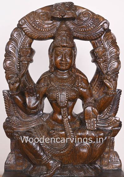 Arch Blessing MahaLakshmi on Lotus Blessing Wooden Polished Showpiece Polished Sculpture 19"