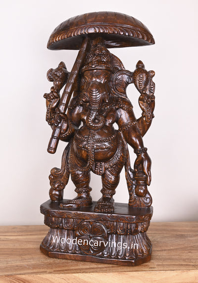 Standing Lord Ganesh Holding Umbrella and Kamandalam Polished Wooden Sculpture 26"