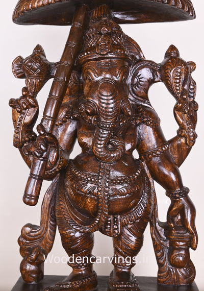 Standing Lord Ganesh Holding Umbrella and Kamandalam Polished Wooden Sculpture 26"