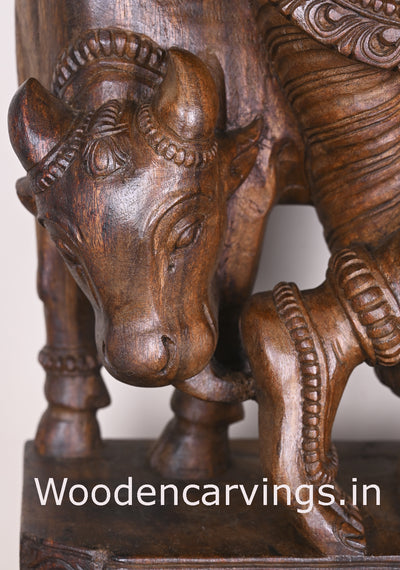 Lord Krishna Playing With Cow and Bansuri Flute Wooden Handmade Showpiece Wax Brown Sculpture 38"