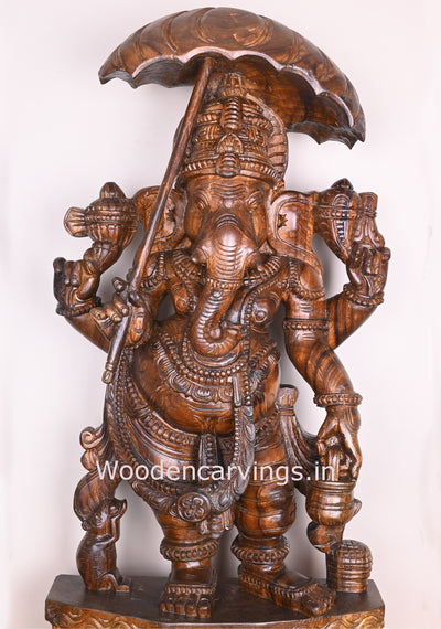 Umbrella Maha Ganapathi Standing on Base and Holding Kamandalam in His Hand Polished Sculpture 38"