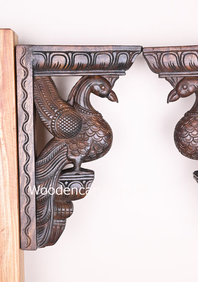 Unique Standing Parrots Ready to Fly on Sky Wooden Handmade Paired Wall Brackets 17"