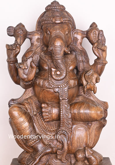 Simply Superb Ganesha Seated on Lotus Holding Ladoo With His Mouse Wooden Handmade Sculpture 24"