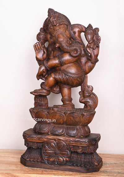 Dancing Ganapathy Dancing on kamalam (Lotus) Blessing Wooden Handmade Wax Brown Sculpture 24"