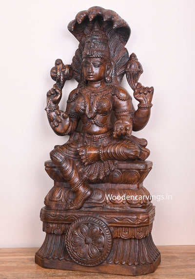 Powerful Female Goddess Naga Rani Briskly Seated on Base Wooden Handmade Wax brown Sculpture 26"