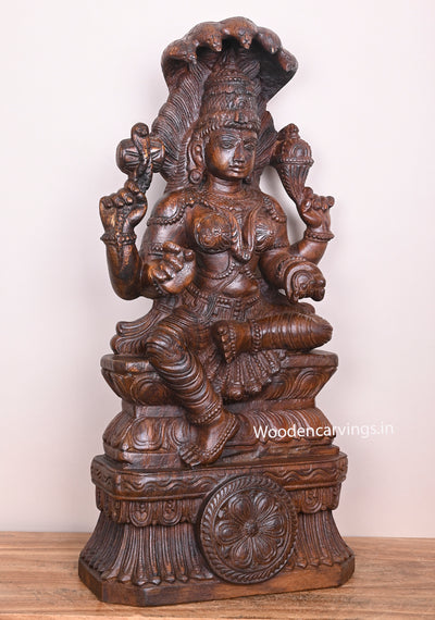 Powerful Female Goddess Naga Rani Briskly Seated on Base Wooden Handmade Wax brown Sculpture 26"