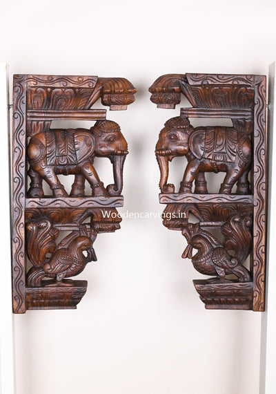 Hooks Fixed Light Weight Product Of Standing Elephants With Paired Hamsa Birds Wax Brown Wall Brackets 18"