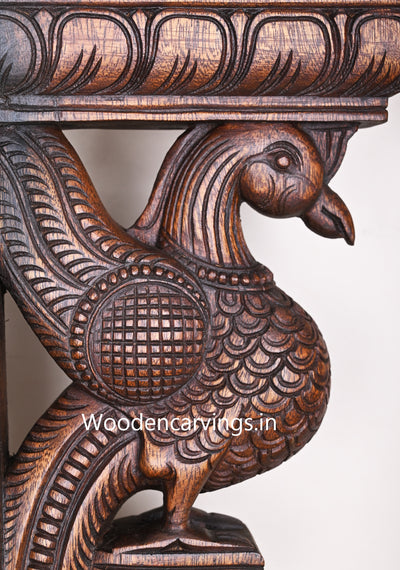 Parrots Ready to Fly on Sky Handcraft Beautiful Wax Brown Finishing Wooden Wall Brackets 16"