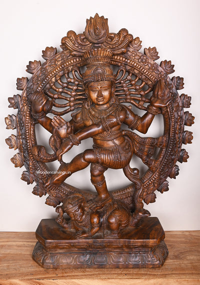 Arch Lord Sidhambara Natarajar Dancing Wax Brown Wooden Auspicious Home Decor Sculpture 36"