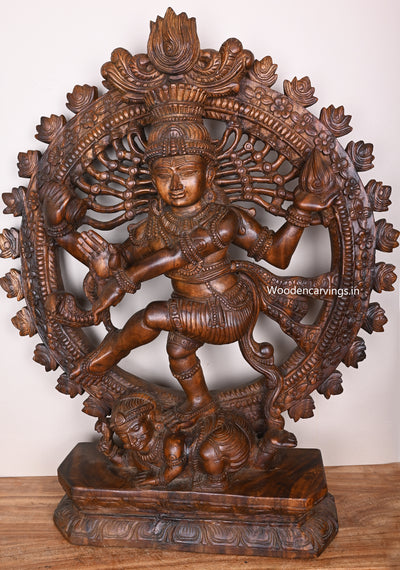Arch Lord Sidhambara Natarajar Dancing Wax Brown Wooden Auspicious Home Decor Sculpture 36"