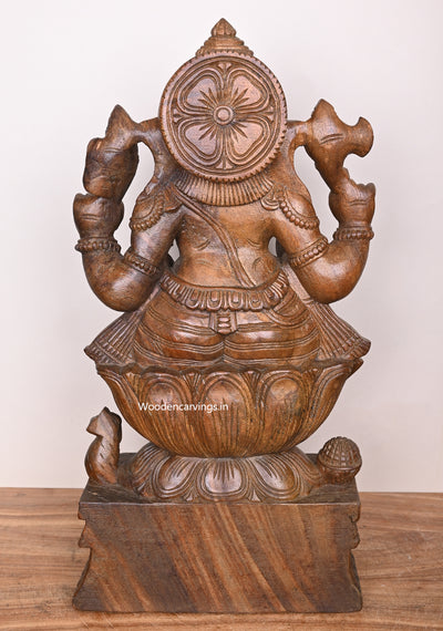 Lengthy Trunk Ganesha Eating Mango On Lotus Wooden Wax Brown Handmade Home Decor Sculpture 24"