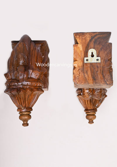 Home Purpose Hooks Fixed Parrot Bodhils Polished Finishing Beautiful Wooden Brackets 12"
