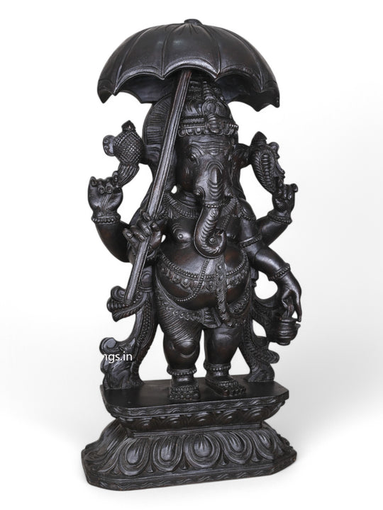 Dark Black Standing Chatra Ganapathy Holding Kamandalu – 36" Wooden