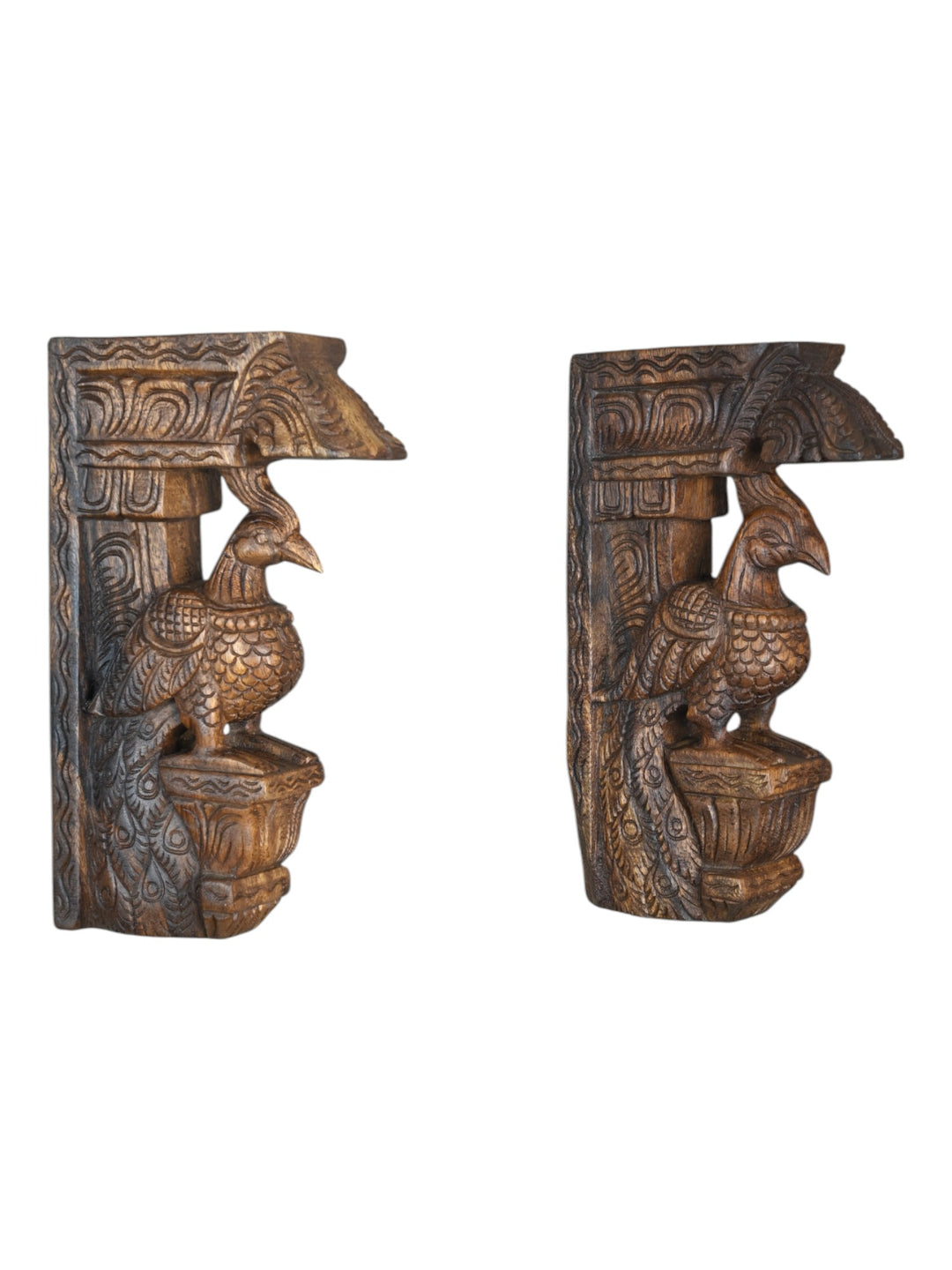 Peacock Wall Hanger Brackets 12"