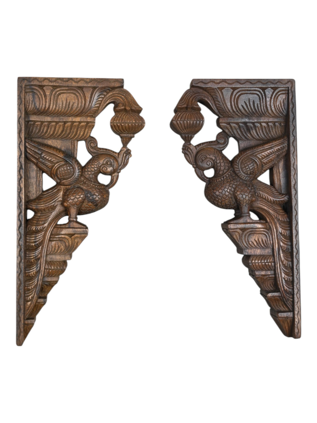 Wooden Parrot wall bracket